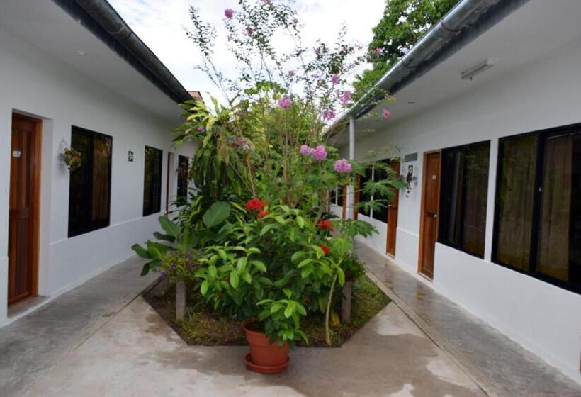 이코노미 룸, Jungle House