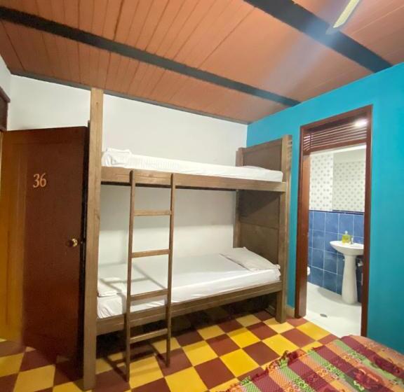 ファミリールーム, Havana Hostel Cali & Dance School