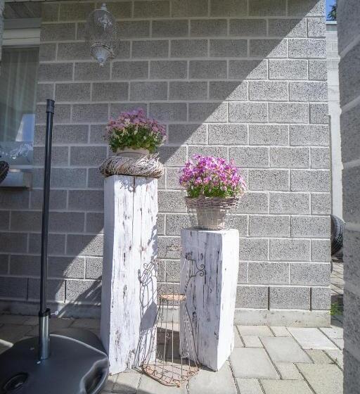 Студия Стандарт, Studio Living..