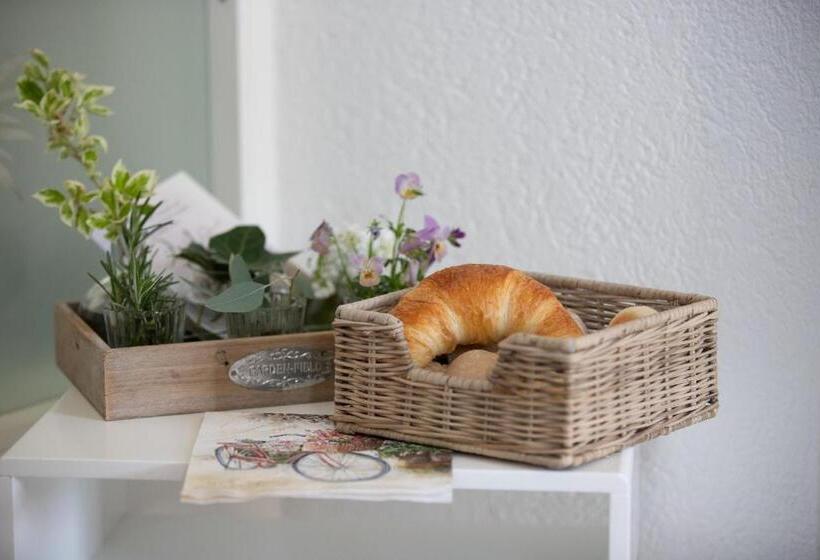 Студия Стандарт, Studio Living..
