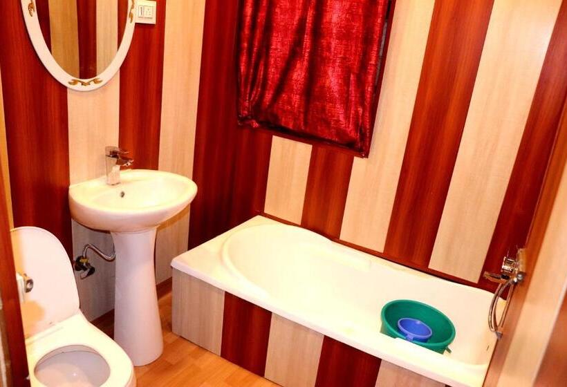 اتاق لوکس, House Boat New Pala Palace