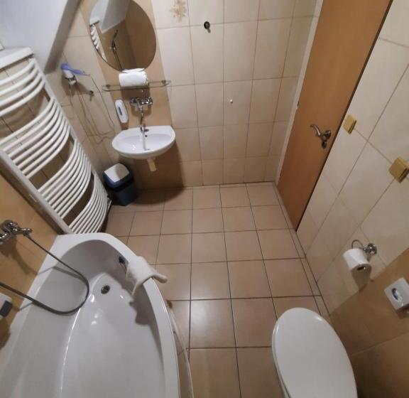 四人标准间, Boršičanka