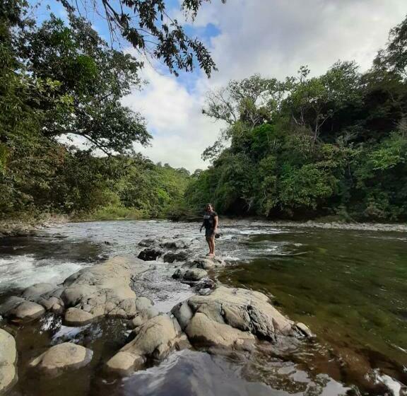 Трехместный Номер Классика, Rainforest Yasmin