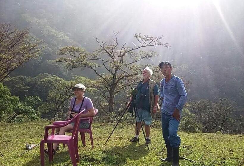 Четырехместный Номер Классик, Rainforest Yasmin