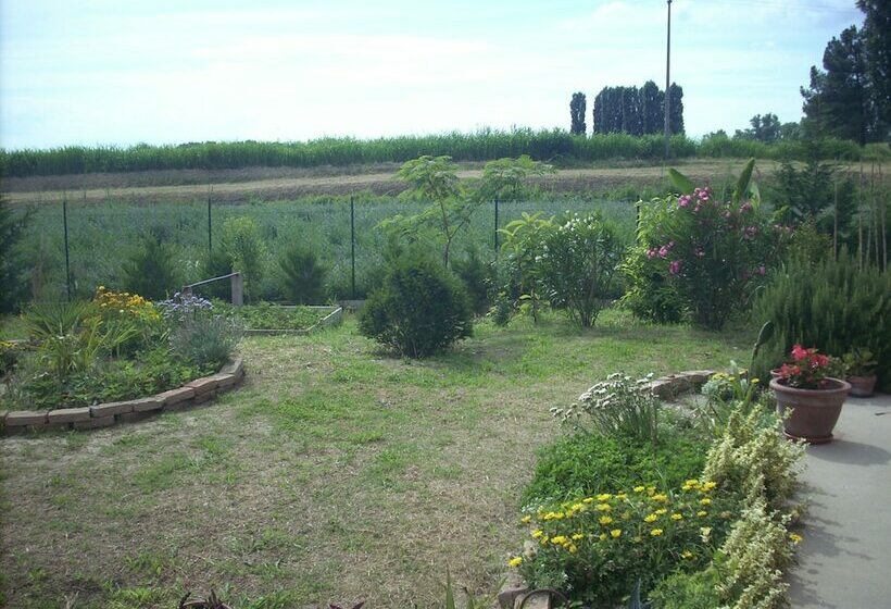 Номер Стандарт, B&b Da Toni