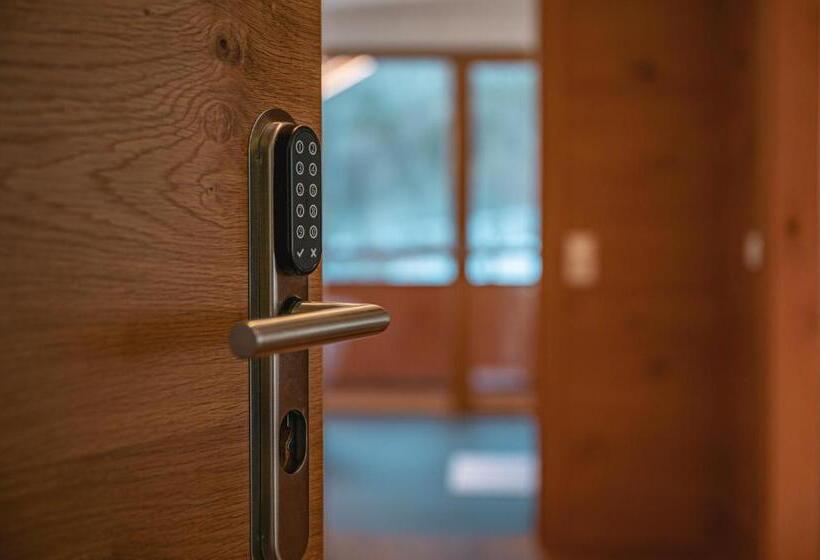 آپارتمان 1 خوابه, Alpen Suites Brandnertal