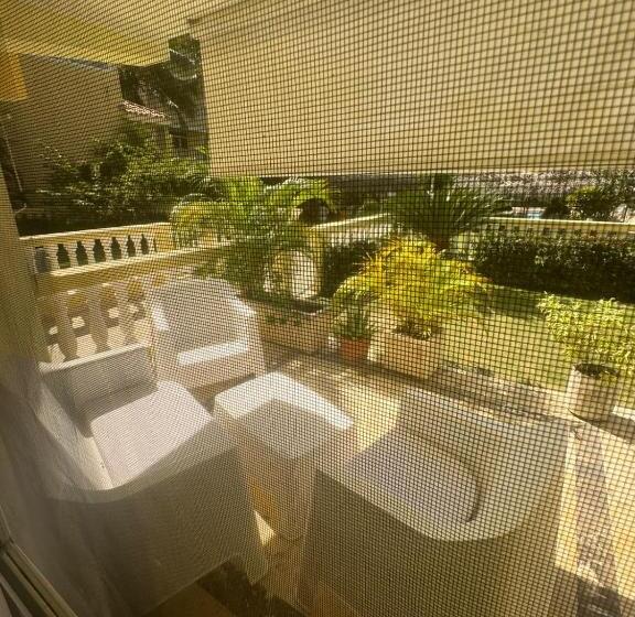 استودیوی استاندارد, Las Palmeras By Graziano