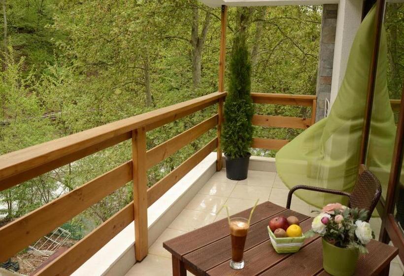 패밀리 룸, Family Hotel Bohema