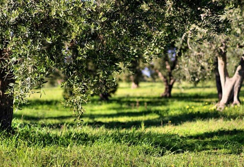 Номер Стандарт, Mater Bed & Food Riserva Naturale Di Torre Guaceto
