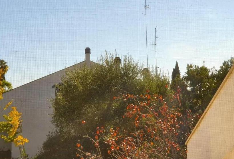 اتاق استاندارد یک تخته با سرویس بهداشتی مشترک, B&b Apulia Time