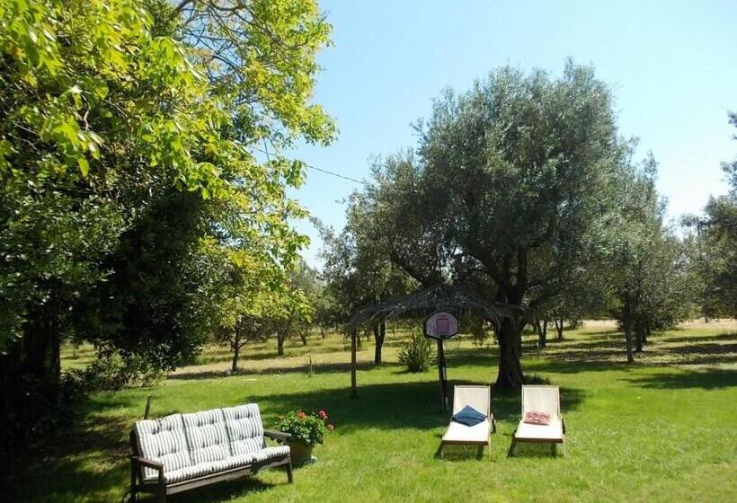 خانه 1 خوابه, B&b Villa I 2 Leoni
