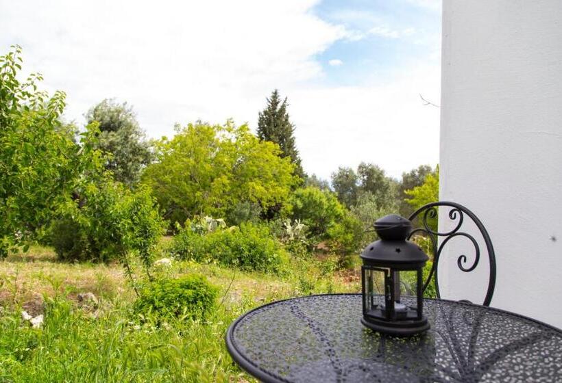 اتاق کلاسیک چهارنفره, Physis B&b A Casa Di Clio