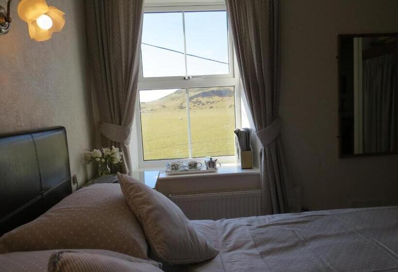Номер Стандарт Индивидуальный, Gwrach Ynys Country Guest House