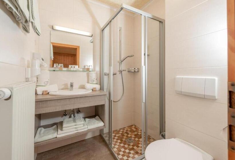 Студио Стандарт с Балконом, Familienhotel Unterreith