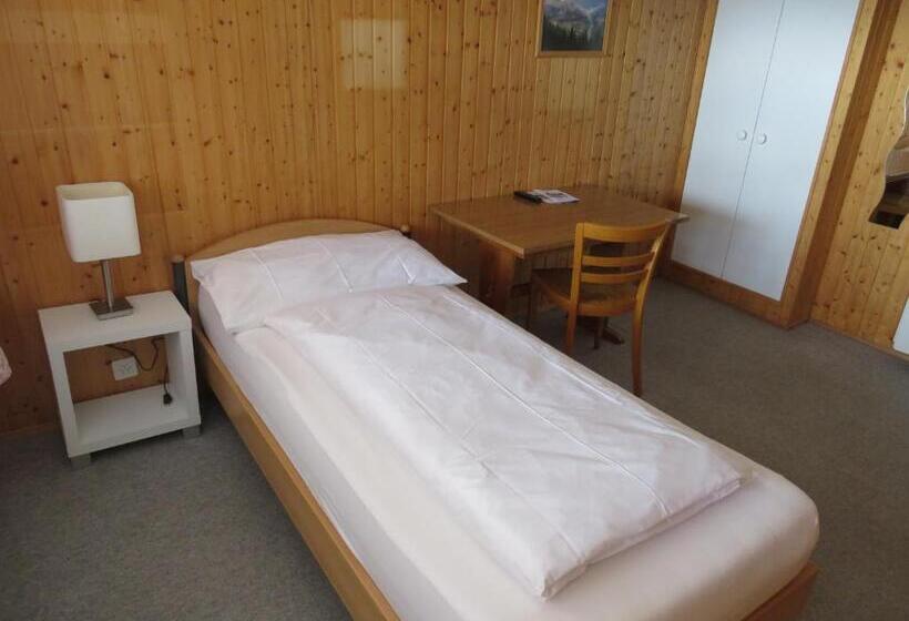 Номер Economy Индивидуальный, Gasthof Baren