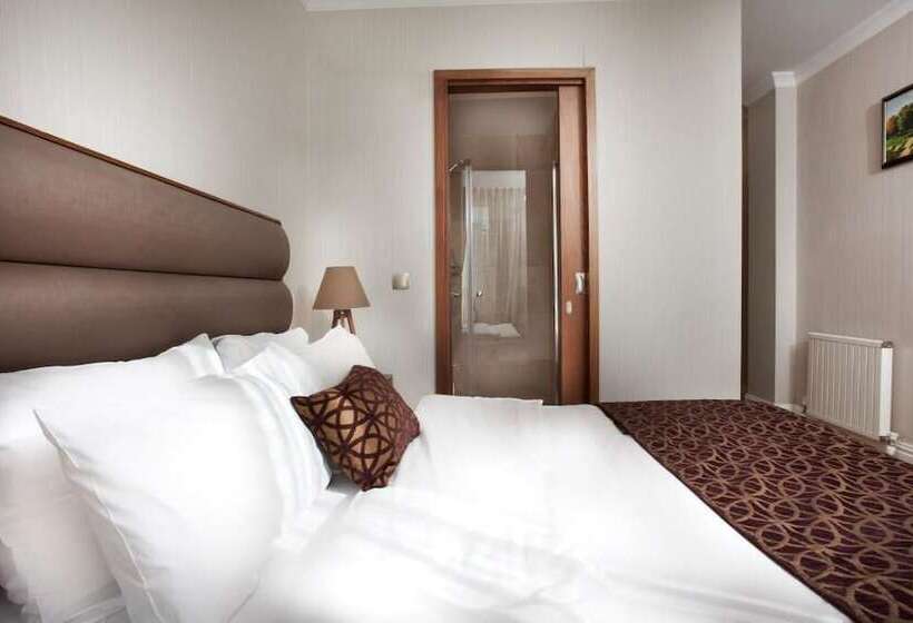 آپارتمان لوکس 1 خوابه, Allegra Suites Galata