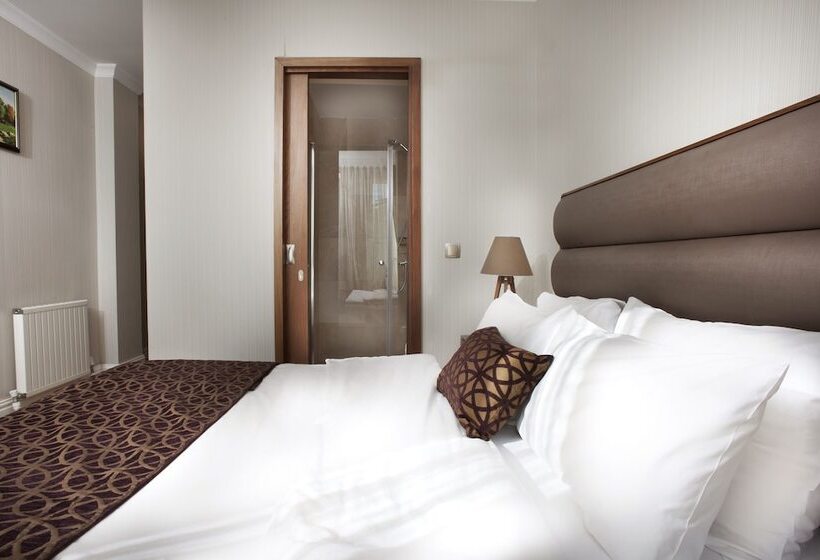 آپارتمان لوکس 1 خوابه, Allegra Suites Galata