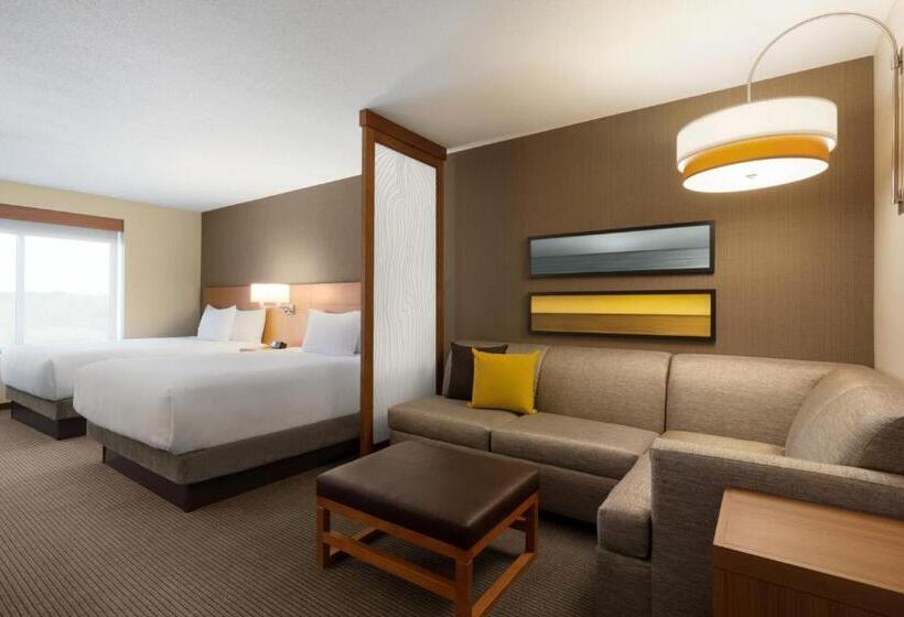 Номер Стандарт Кровать Кинг Адаптированный для Инвалидов, Hyatt Place Niagara Falls