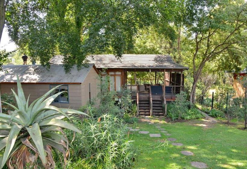 스탠다드 스튜디오, Sand River Guest House