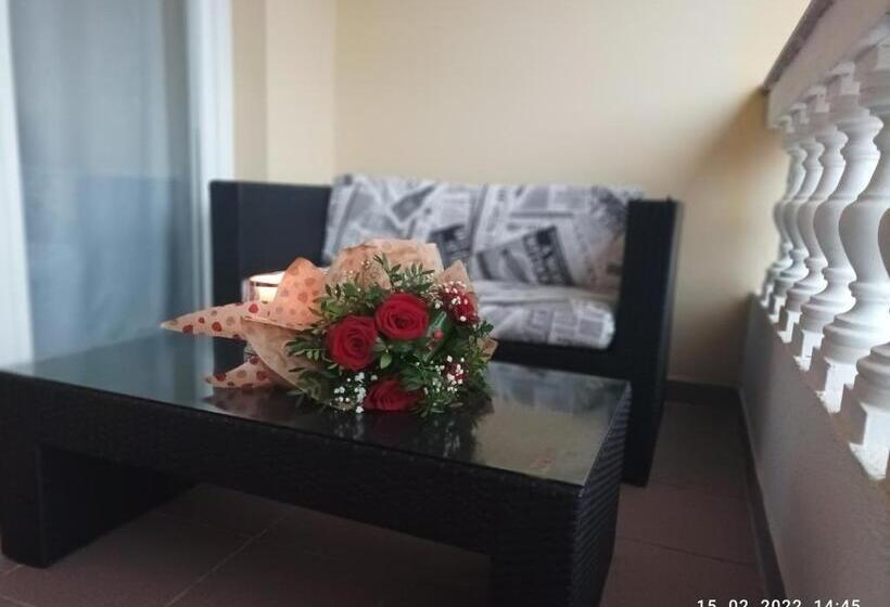 스탠다드 테라스 룸, Palma Guesthouse