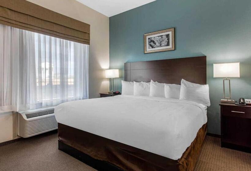 带大床的套房, Mainstay Suites Big Spring North I 20