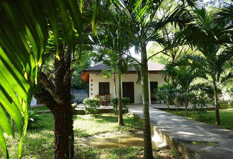 ویلای 1 خوابه, Residence Maison Müge