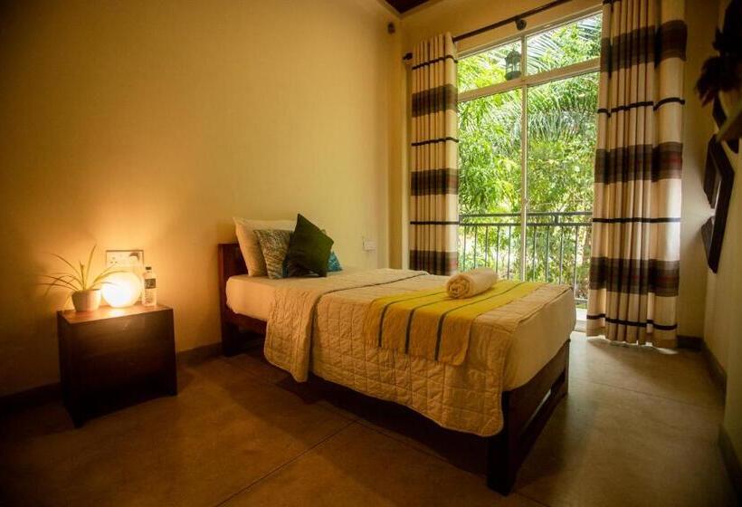 اتاق استاندارد یک نفره, Evergreen Hotel Dambulla