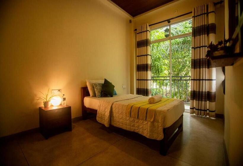 اتاق استاندارد یک نفره, Evergreen Hotel Dambulla