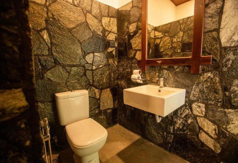 اتاق استاندارد, Evergreen Hotel Dambulla