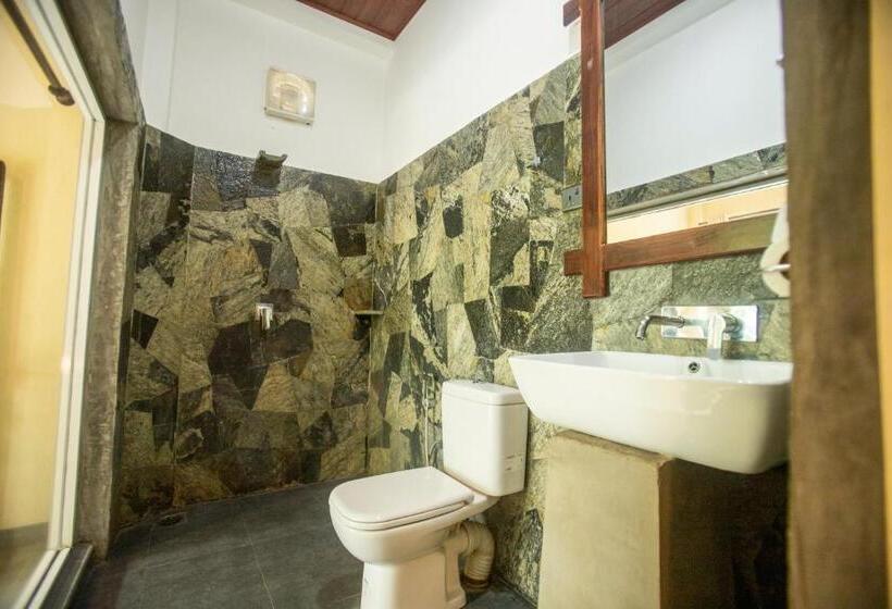 اتاق استاندارد, Evergreen Hotel Dambulla