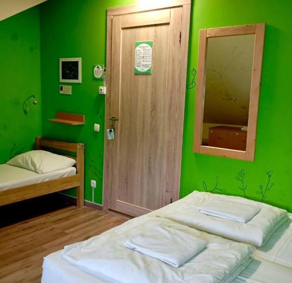 اتاق استاندارد با سرویس بهداشتی مشترک, Dream Hostel Poltava