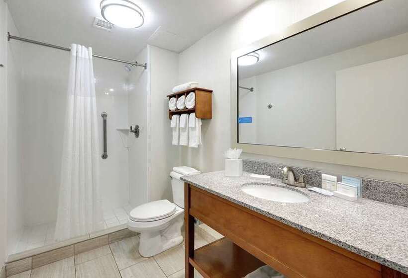 Студио Стандарт Кровать Кинг, Hampton Inn & Suites Tallahassee Capitol   University