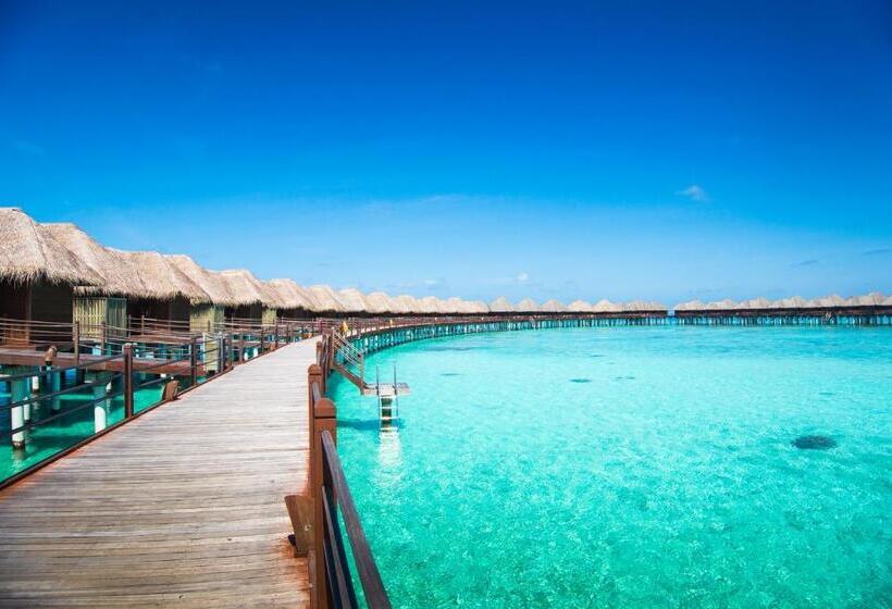 ویلای 1 خوابه, Sun Siyam Vilu Reef   24 Hour All Inclusive With Free Transfers