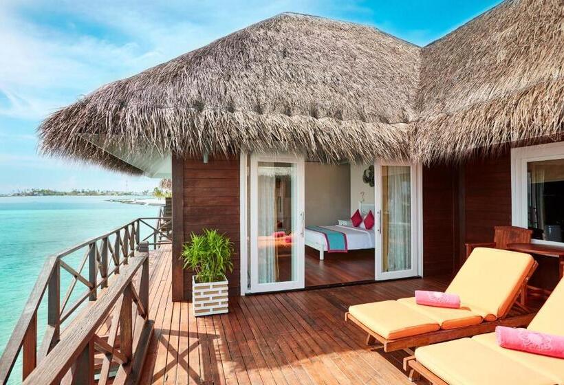 ویلای 1 خوابه, Sun Siyam Vilu Reef   24 Hour All Inclusive With Free Transfers