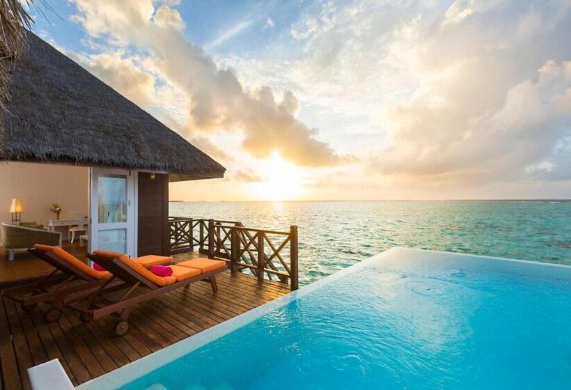 ویلای یک اتاق خوابه با استخر شنا, Sun Siyam Vilu Reef   24 Hour All Inclusive With Free Transfers