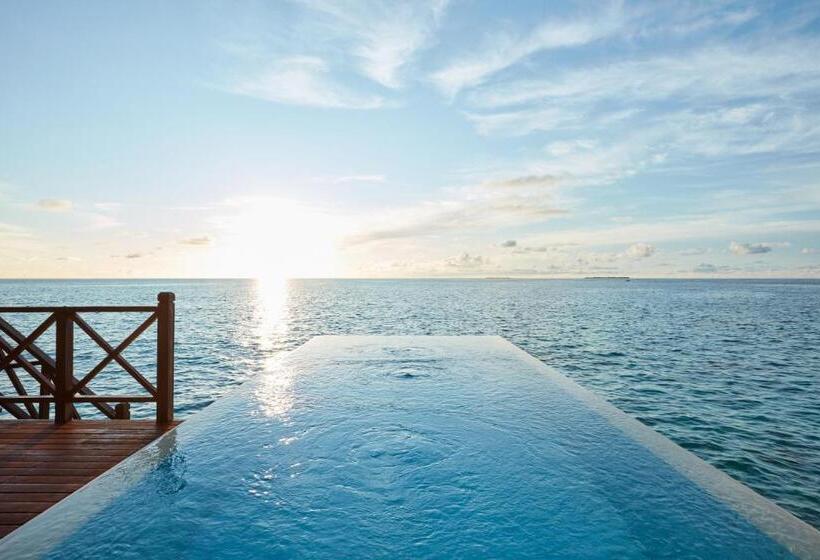 ویلای یک اتاق خوابه با استخر شنا, Sun Siyam Vilu Reef   24 Hour All Inclusive With Free Transfers