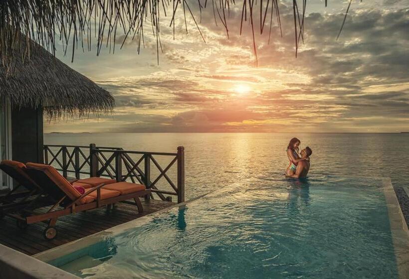 ویلای یک اتاق خوابه با استخر شنا, Sun Siyam Vilu Reef   24 Hour All Inclusive With Free Transfers