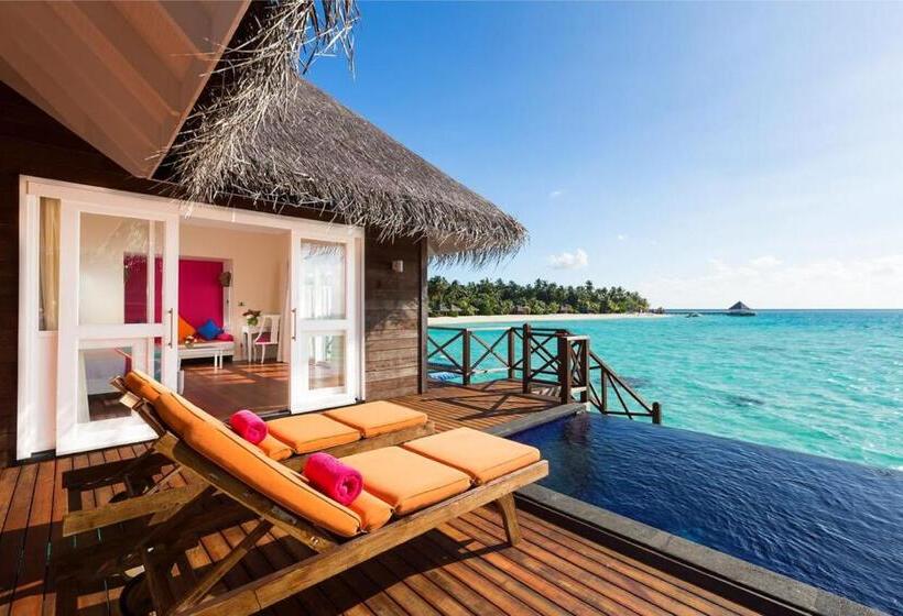 ویلای یک اتاق خوابه با استخر شنا, Sun Siyam Vilu Reef   24 Hour All Inclusive With Free Transfers