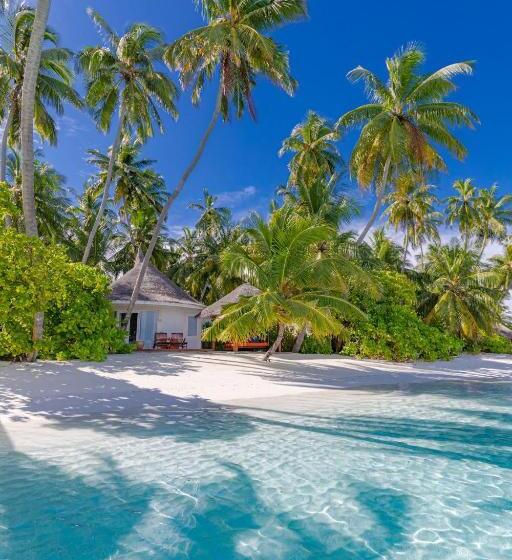 ویلای لوکس 1 خوابه, Sun Siyam Vilu Reef   24 Hour All Inclusive With Free Transfers