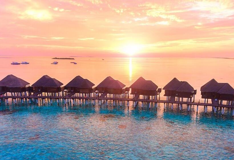 ویلای 1 خوابه, Sun Siyam Vilu Reef   24 Hour All Inclusive With Free Transfers