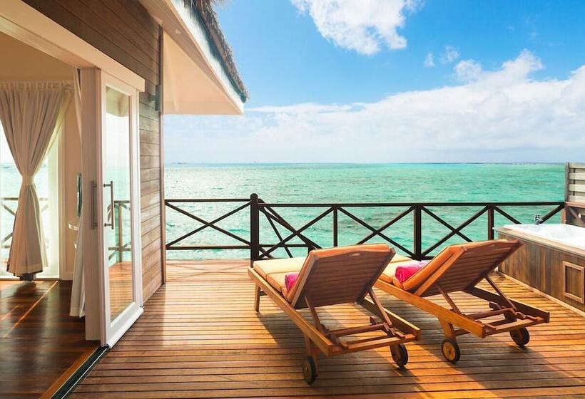 ویلای 1 خوابه, Sun Siyam Vilu Reef   24 Hour All Inclusive With Free Transfers