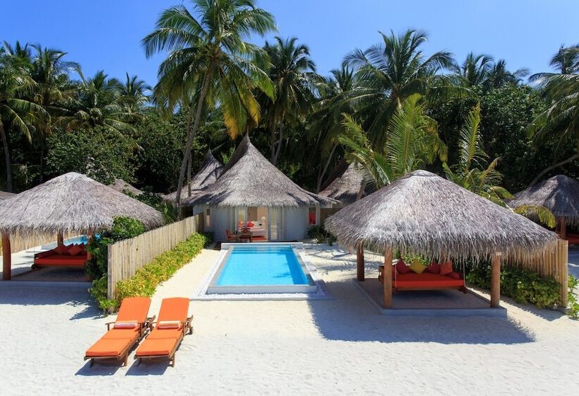 ویلای یک اتاق خوابه با استخر شنا, Sun Siyam Vilu Reef   24 Hour All Inclusive With Free Transfers