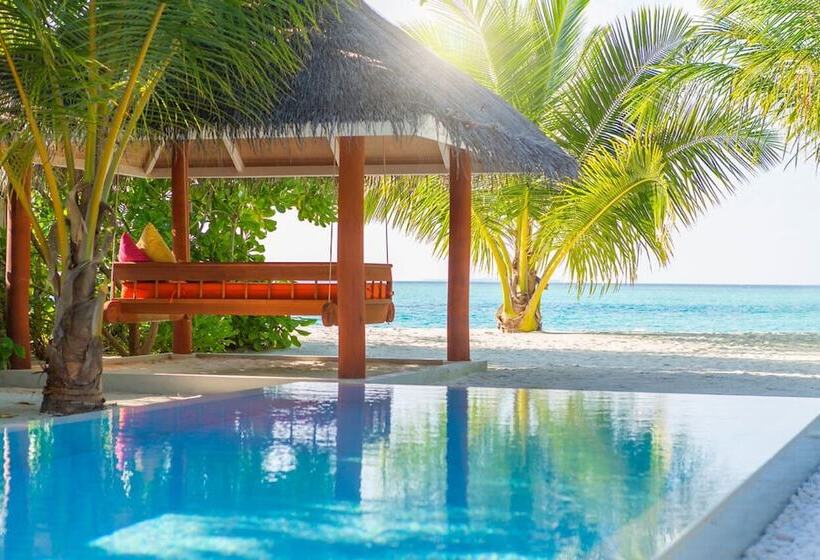 ویلای یک اتاق خوابه با استخر شنا, Sun Siyam Vilu Reef   24 Hour All Inclusive With Free Transfers