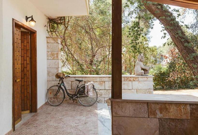 Номер Стандарт, B&b Viale Dei Pini