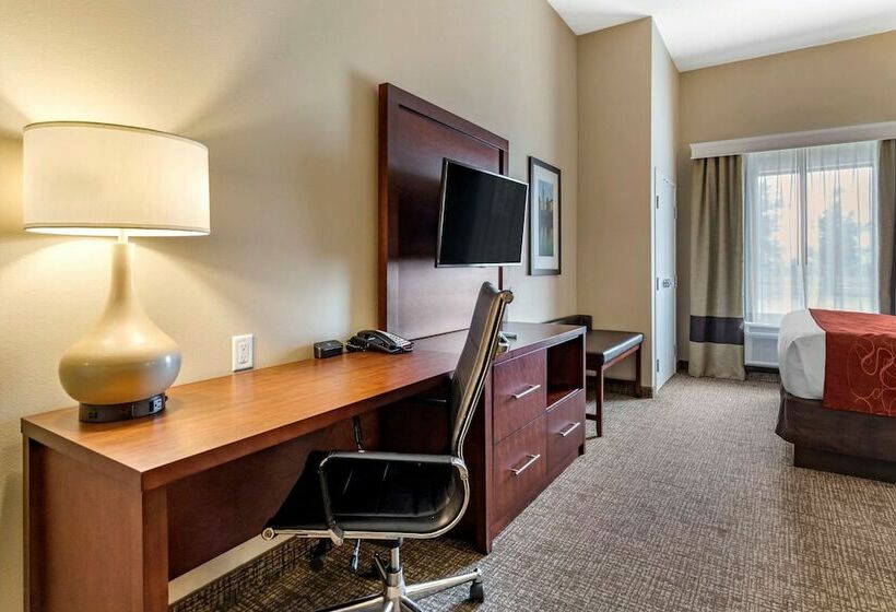 套房, Comfort Suites Kyle