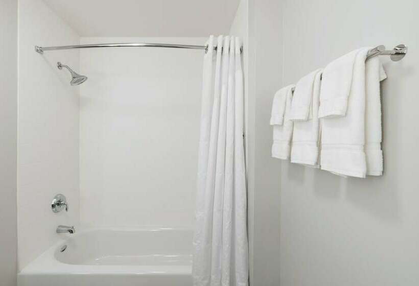 标准间, Holiday Inn Express & Suites Lake Havasu   London Bridge, An Ihg