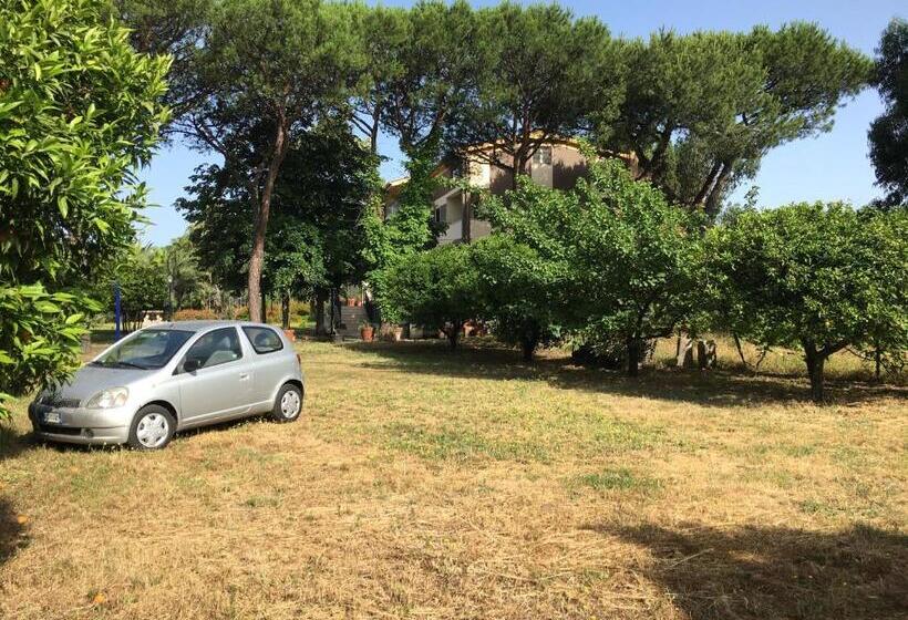 Номер Deluxe Вид на Море, Villa Viuli