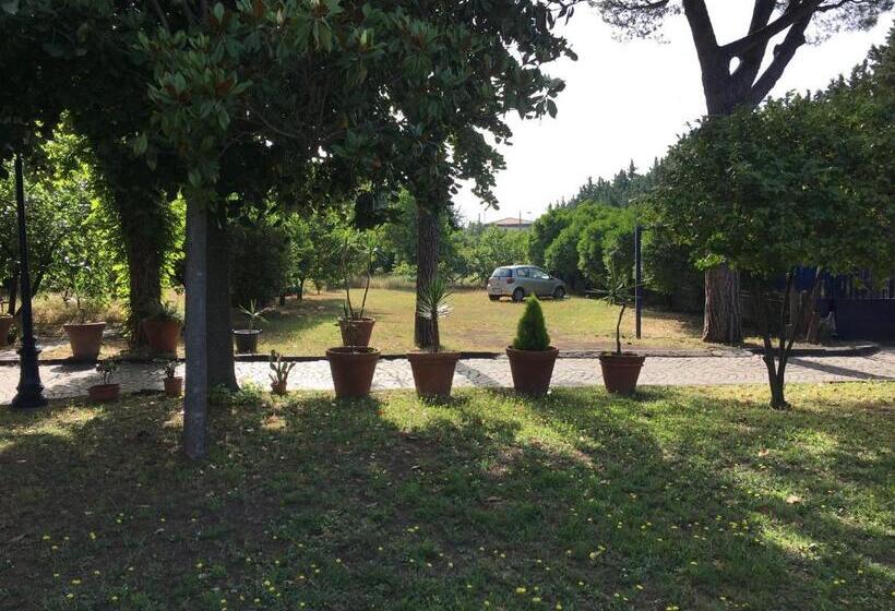 带泳池观景的豪华房, Villa Viuli