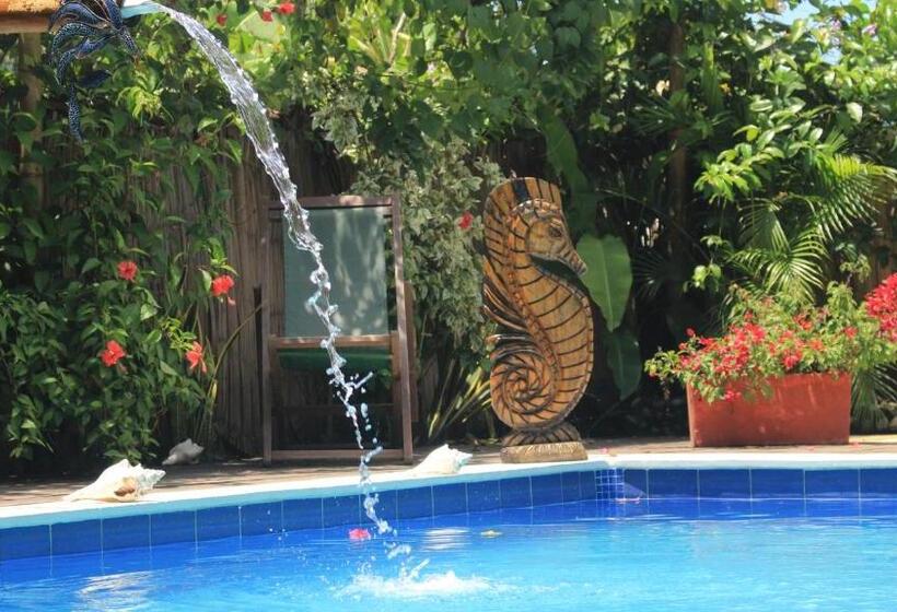 수피리어 룸, La Natura Hostel & Pool