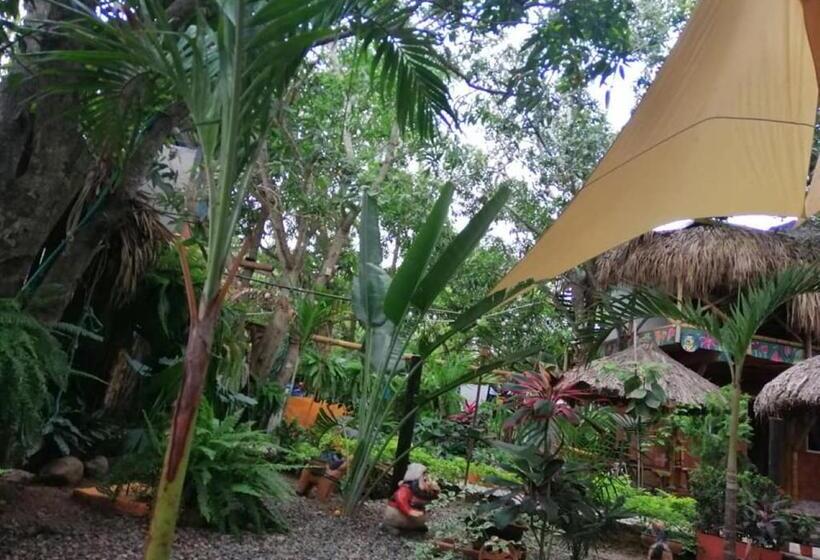 스탠다드 룸, La Natura Hostel & Pool